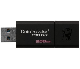Pendrive Memoria USB Kingston 256GB DT100G3