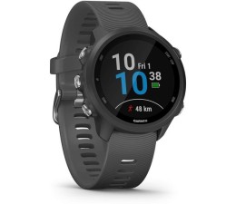 Smartwatch Sportwatch Forerunner 245 - Gris