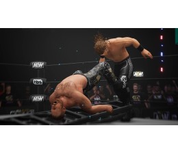 Juego Switch All Elite Wrestling AEW: Fight Forever