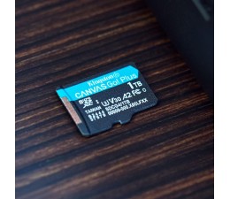 Memoria MicroSD Kingston Canvas Go Plus Gen4 256GB 200MB/s