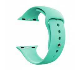 Correa Apokin Apple Watch 38 / 40 / 41mm 22907 Silicona Turquesa