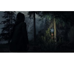 Juego PS5 Alan Wake 2 Deluxe Edition