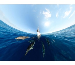 Camara Deportiva de Accion GoPro MAX 360