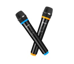 Altavoz Rumbleboss XL Phoenix 160W RMS con Bateria Karaoke 2 Microfono