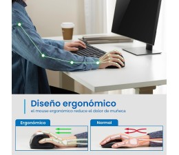 Raton Ergonomico Inalambrico Ewent EW3229 Gris