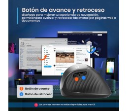 Raton Ergonomico Inalambrico Ewent EW3229 Gris