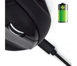 Raton Vertical Ergonomico Inalambrico Ewent EW3158 USB 1600DPI Negro