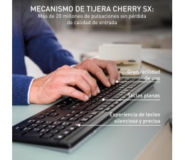Teclado + Raton Cherry Inalambrico Stream Desktop Confort JD-8550ES-2  Negro